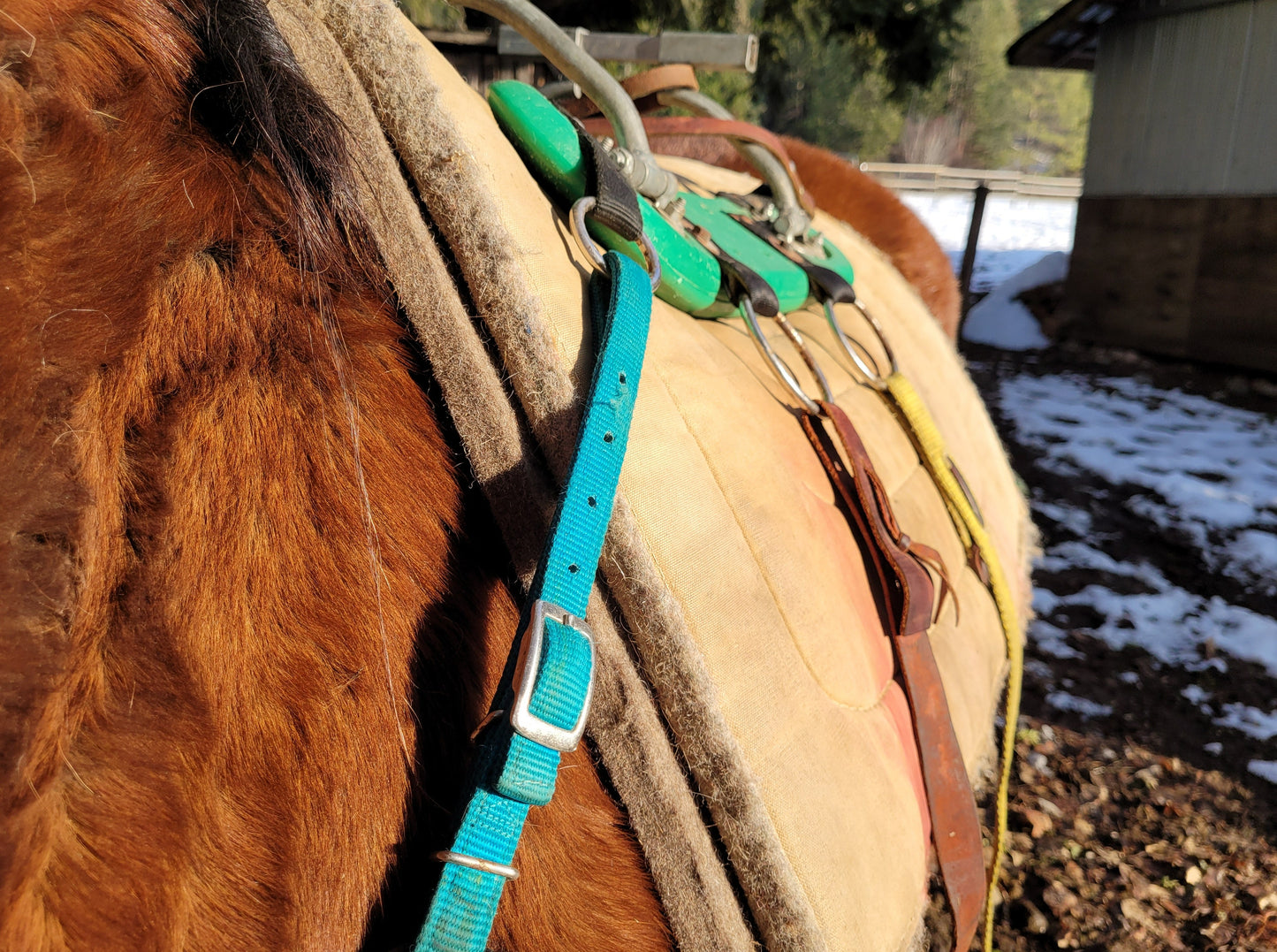Pack Saddle Liner