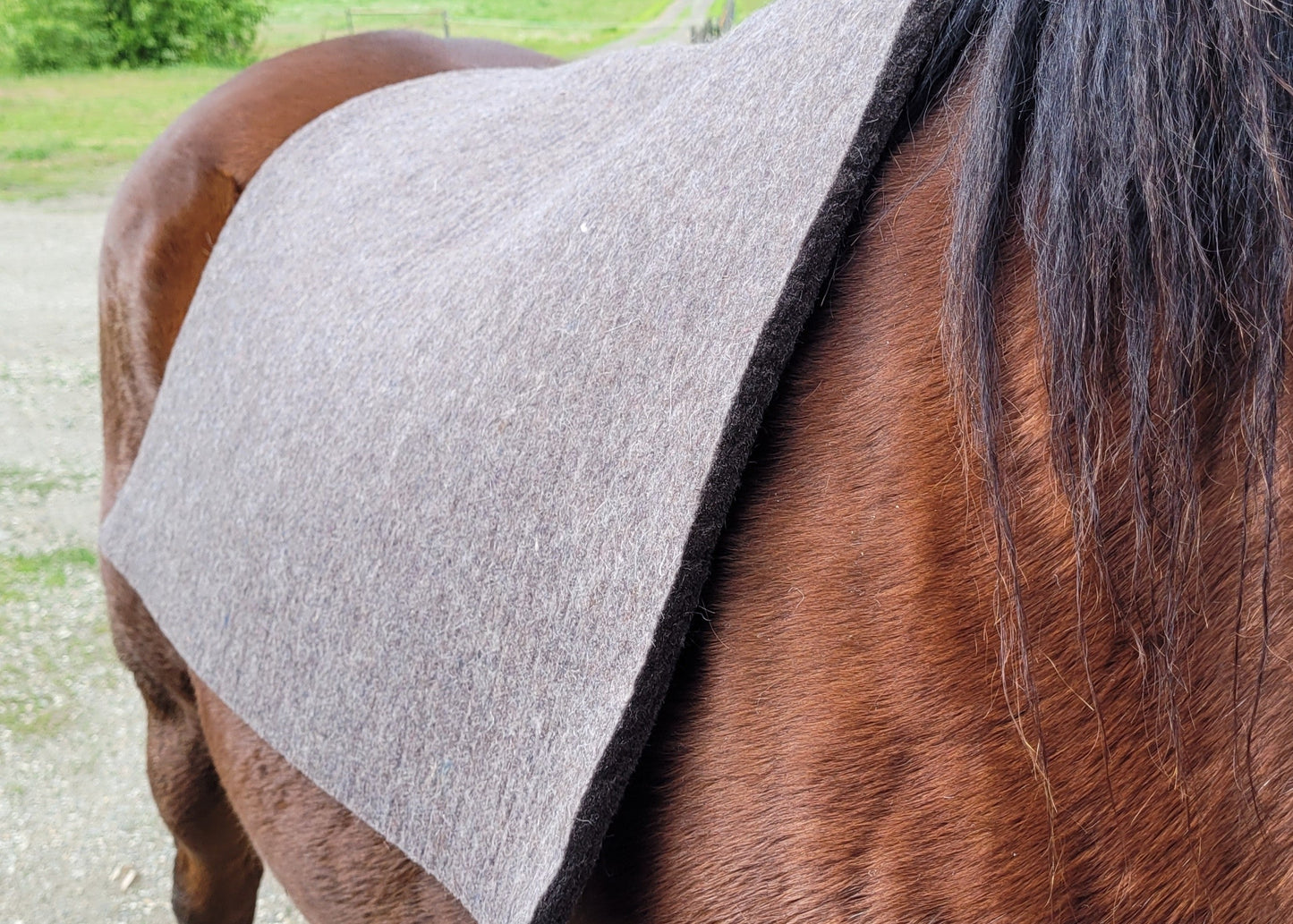 Pack Saddle Liner