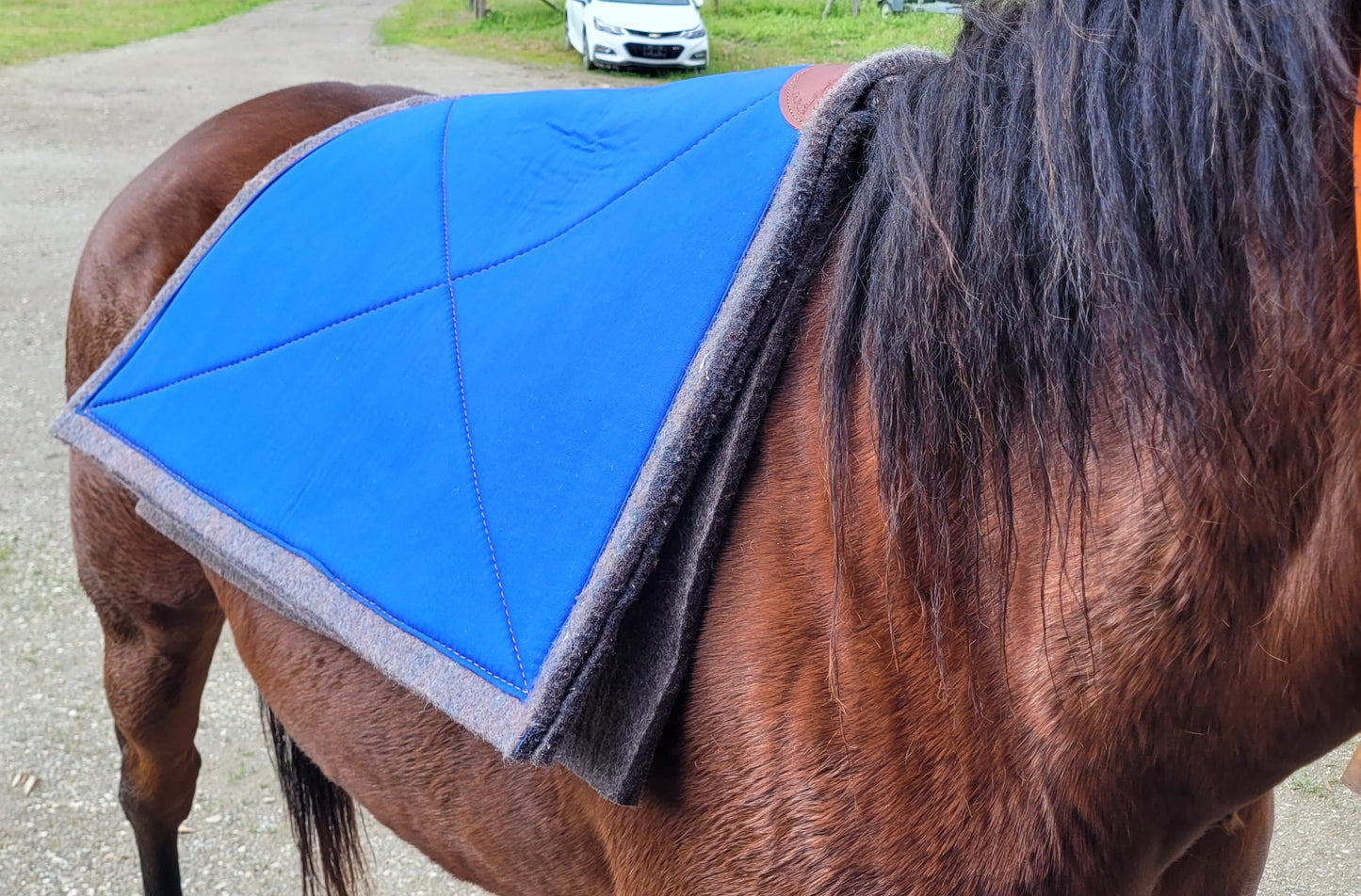 Pack Saddle Pads