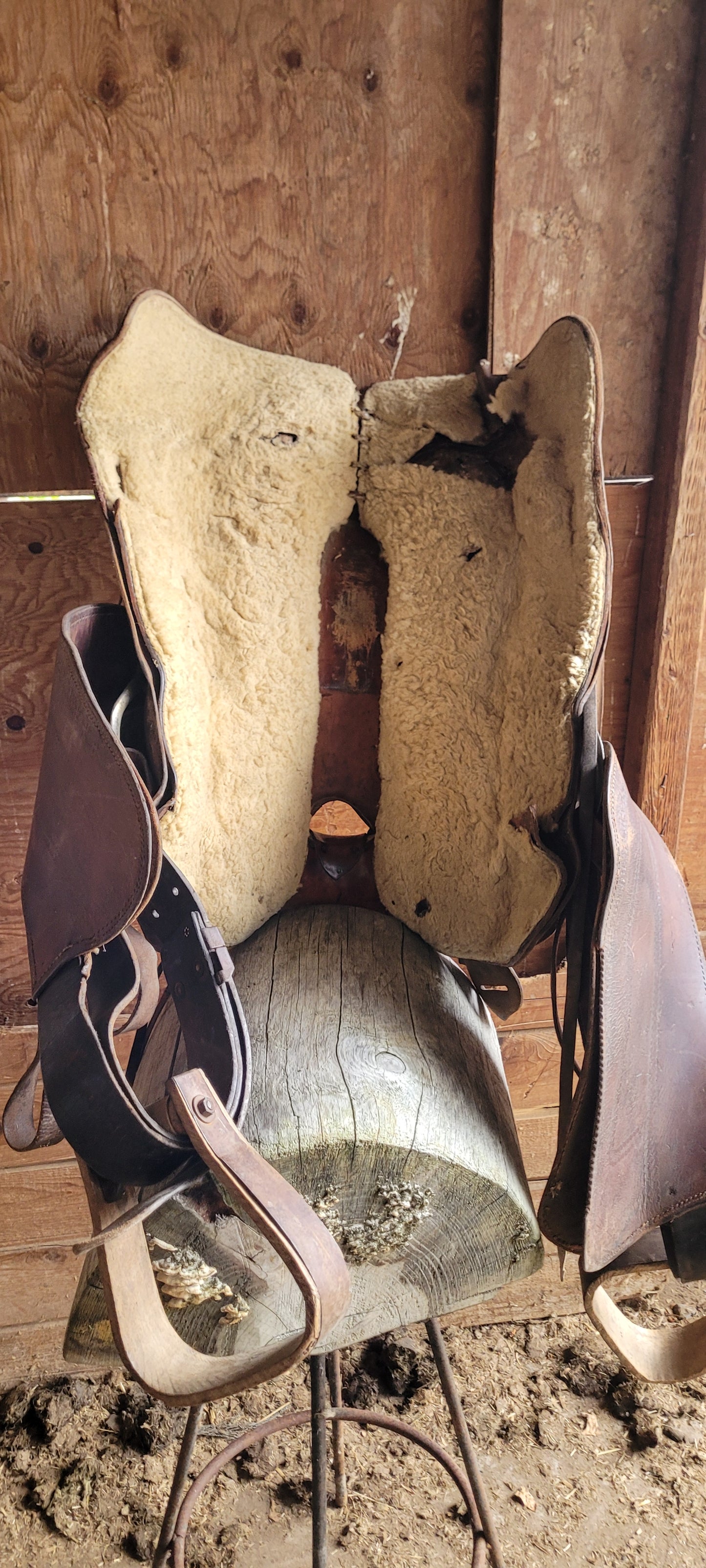 Western Saddle 1