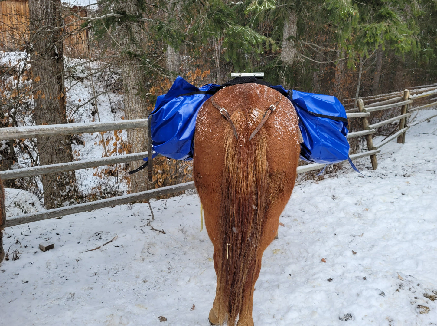 Pannier Bags
