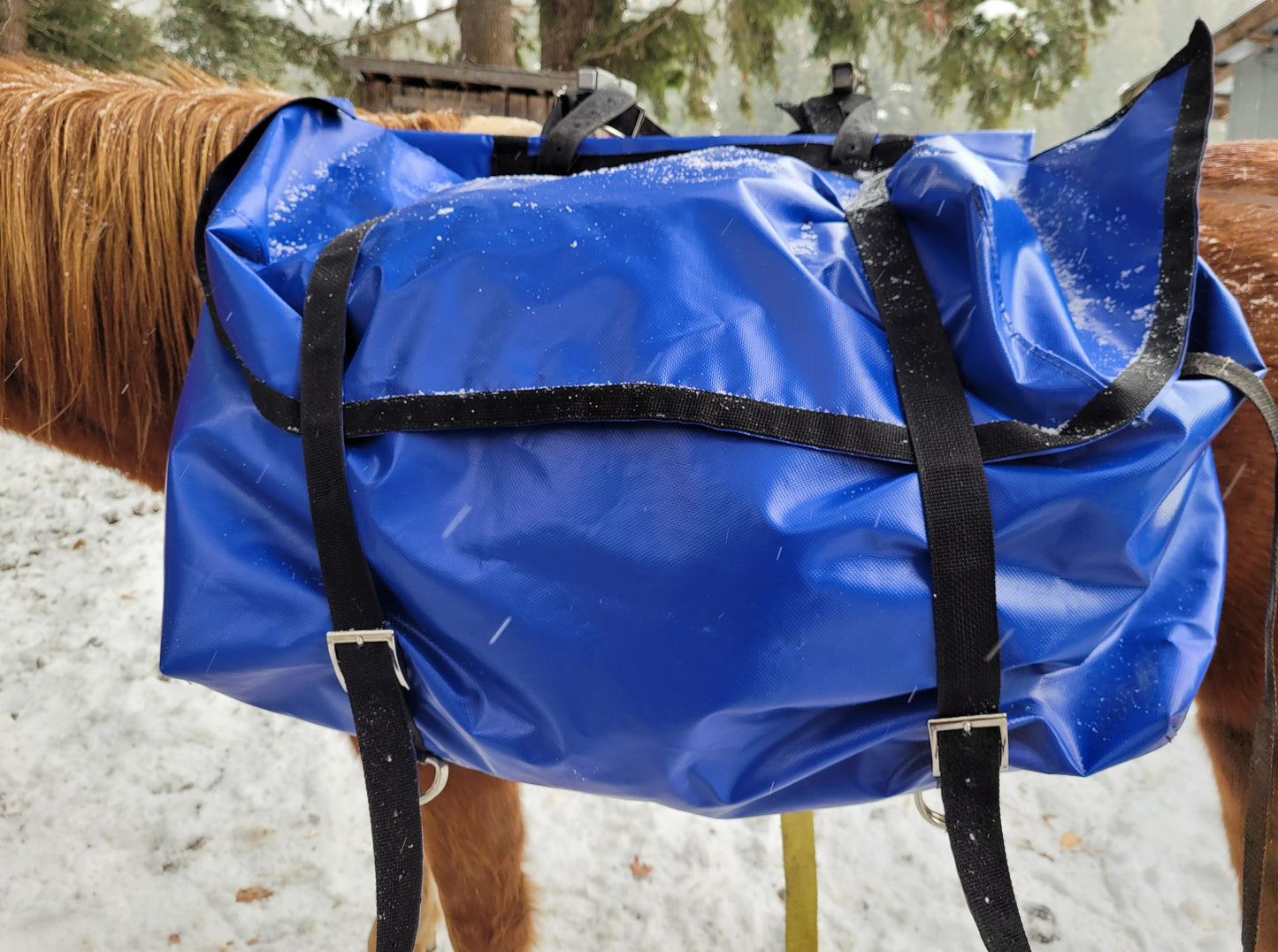 Pannier Bags