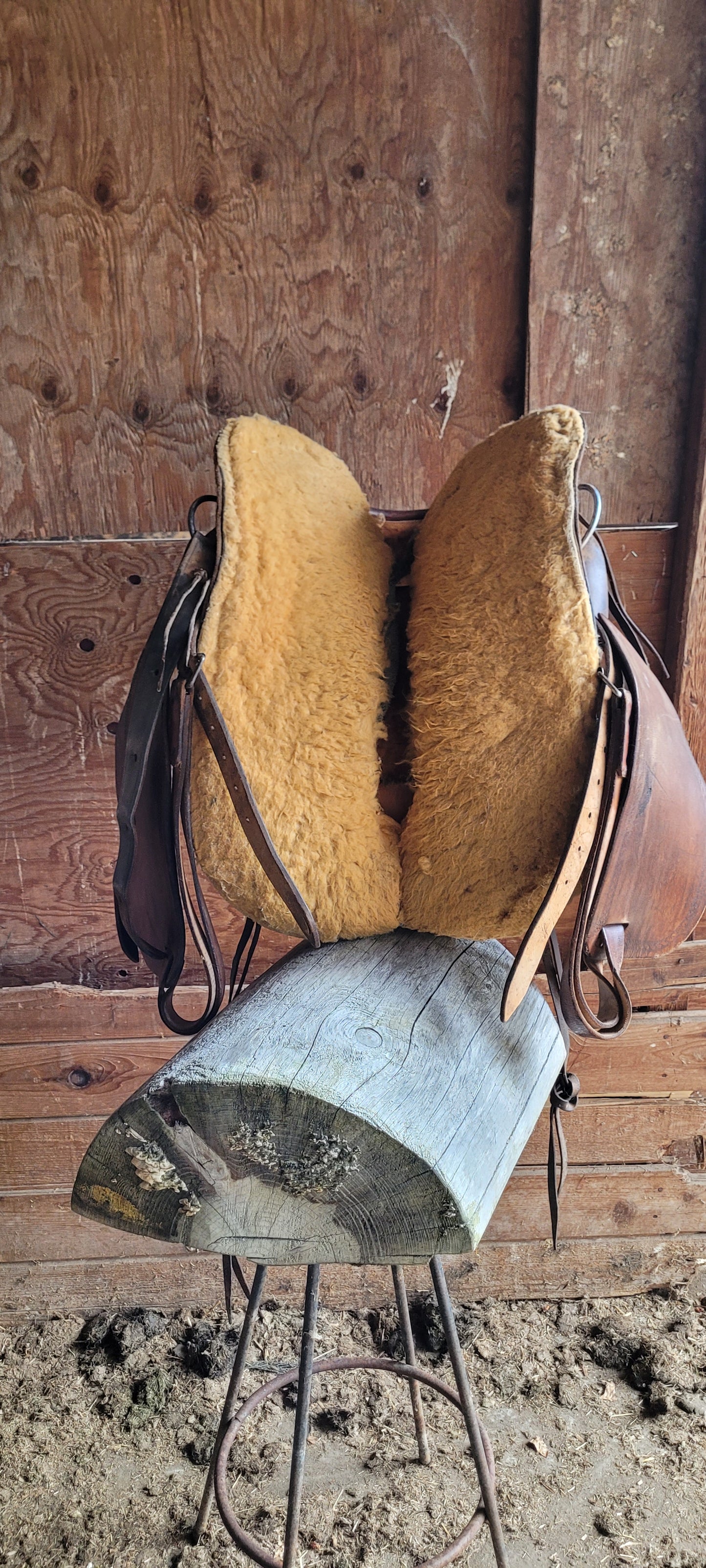 Western Saddle 2