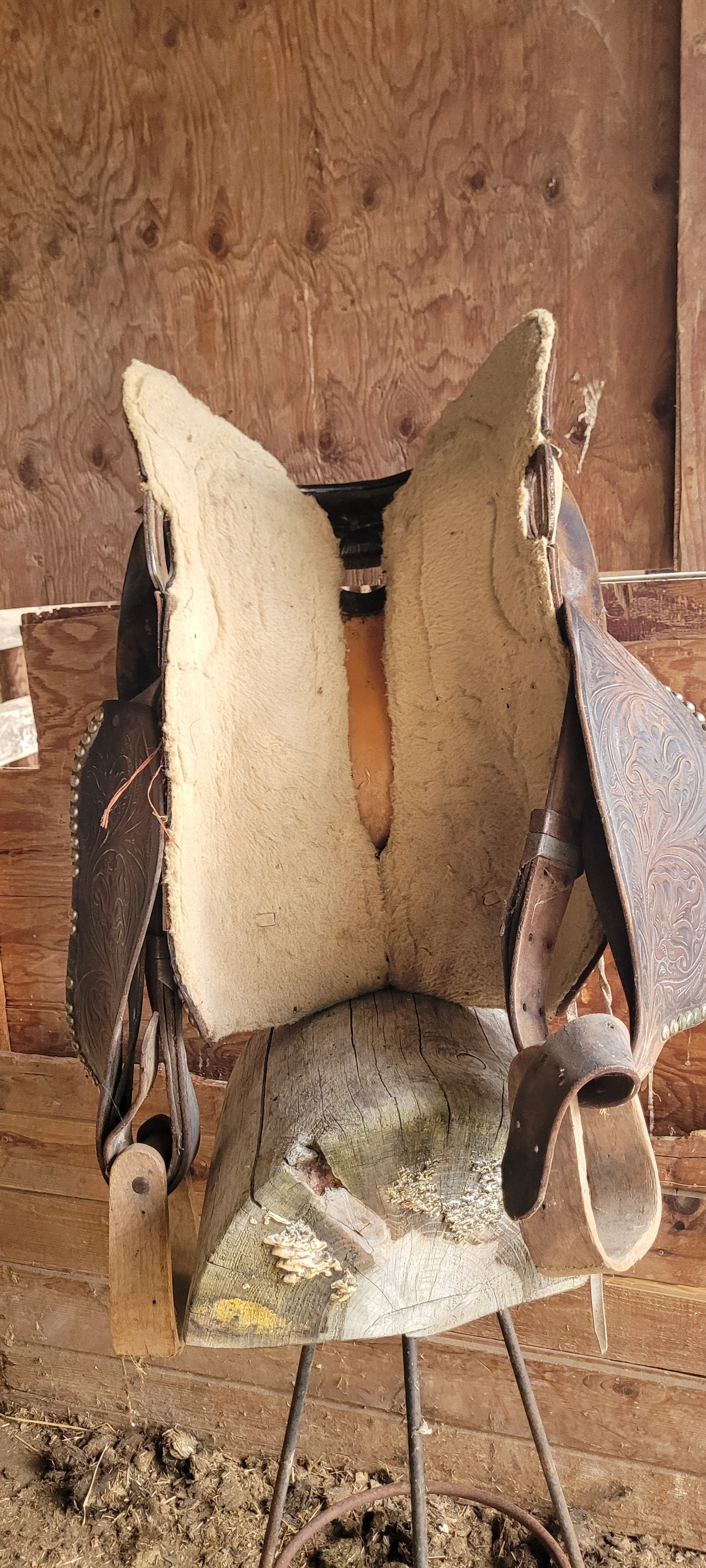 Western Saddle 4