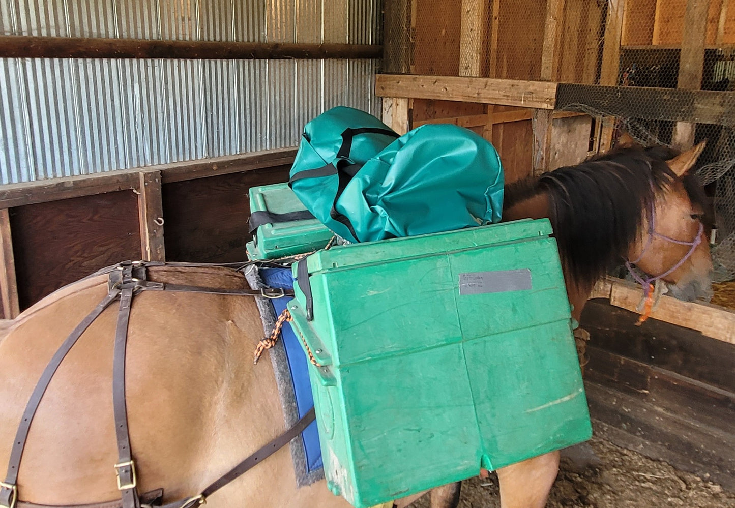 gear bag on pack saddle