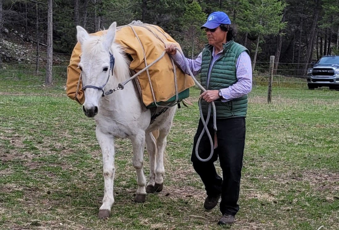 single diamond hitch pack saddle