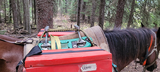 The pack saddle blanket is positioned as far forward as the front legs. The pack boxes hang evenly and stragiht.
