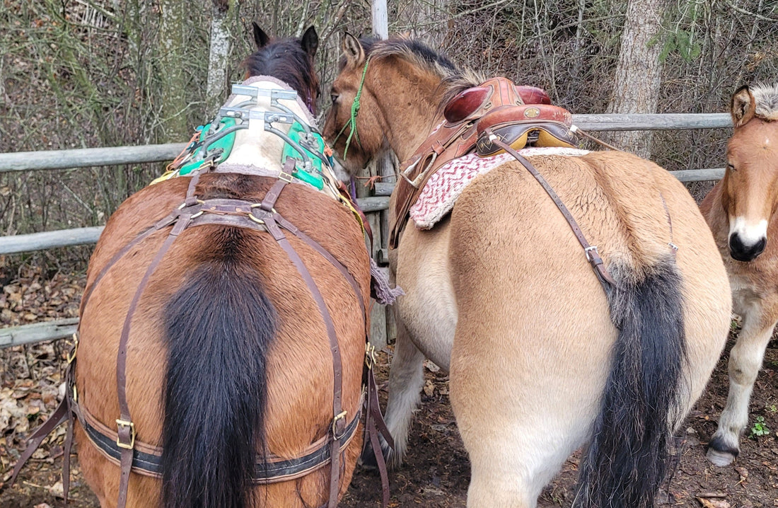 comparing breeching and crupper 