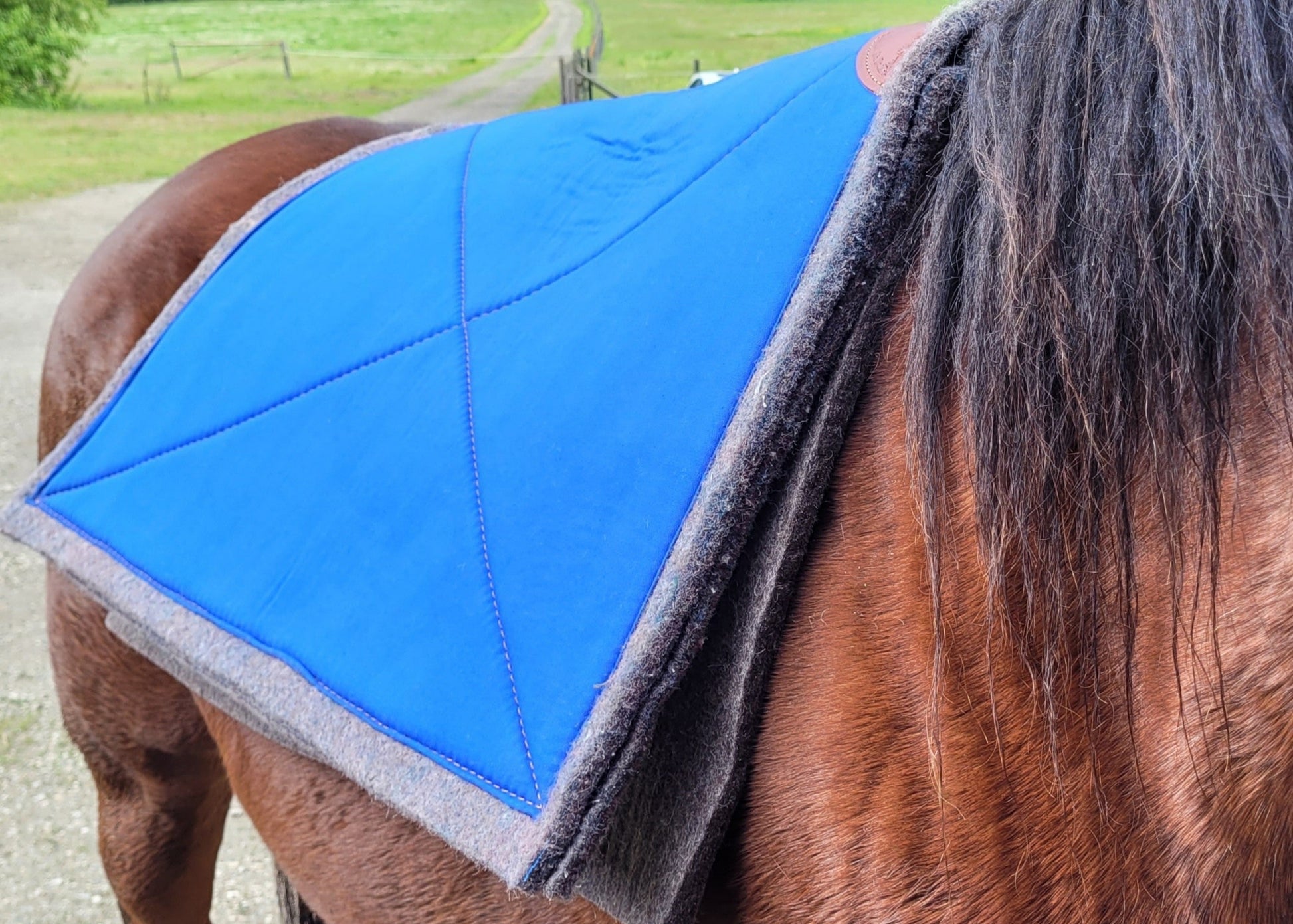 Pack saddle pad and liner combo for horses and mules, Blue Creek Outfitting