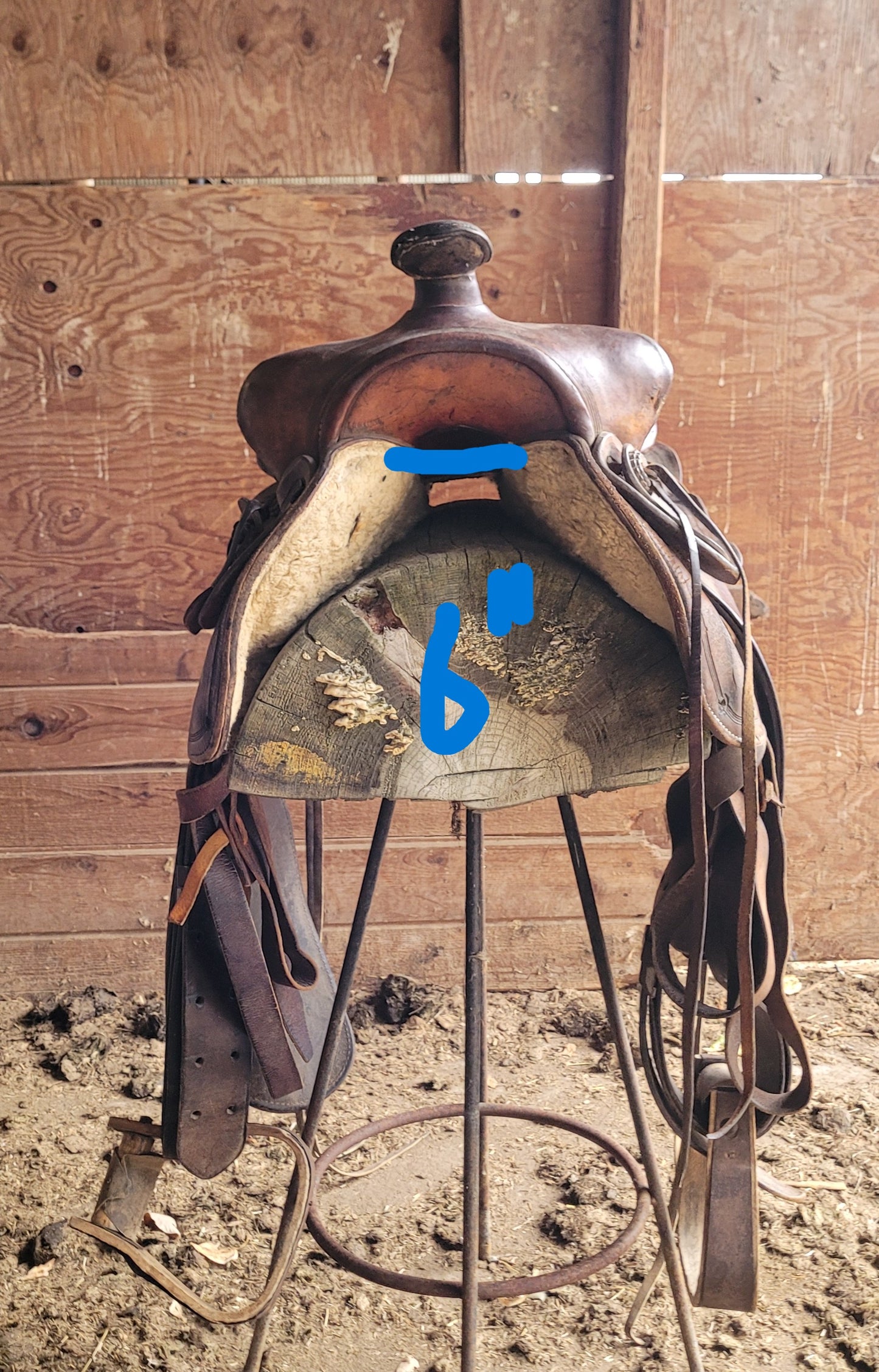 Western Saddle 1