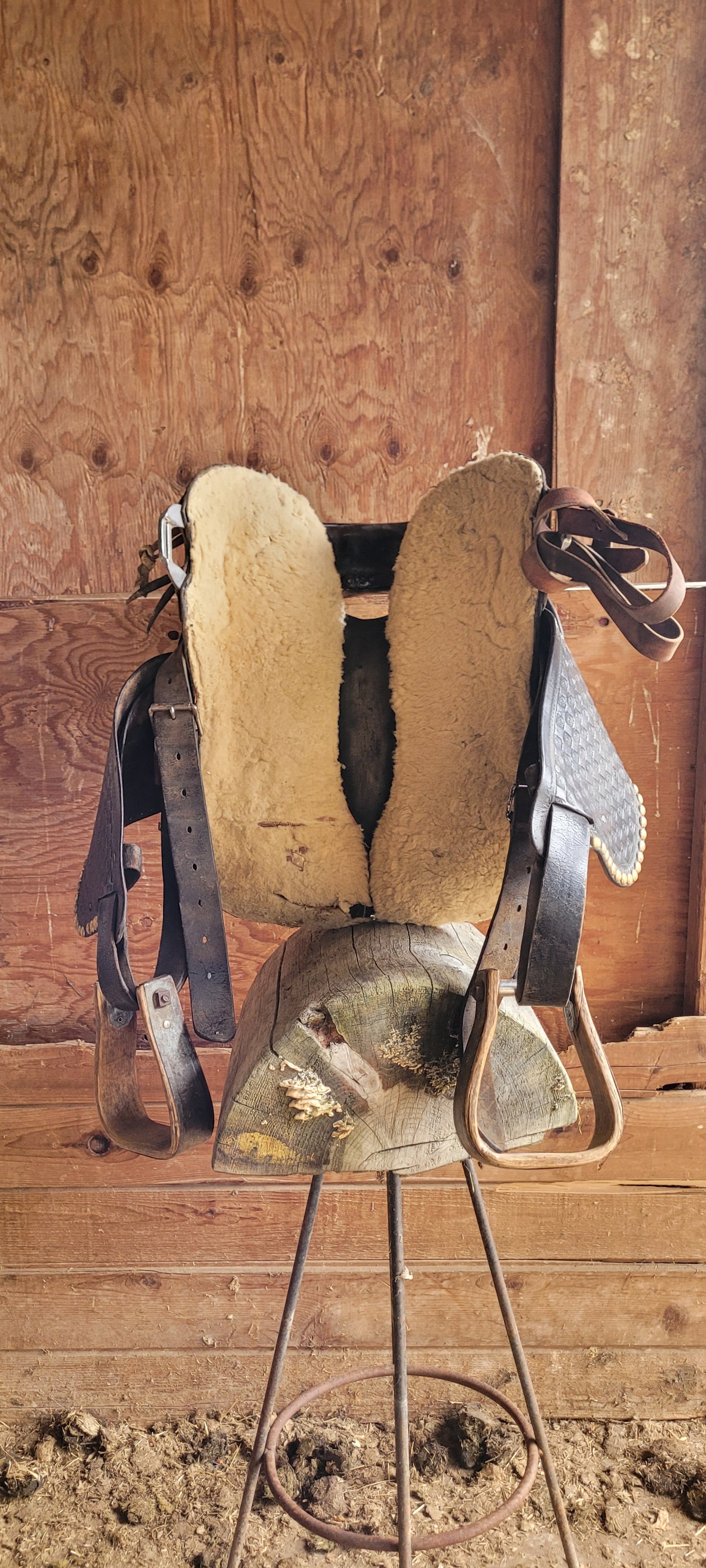 Western Saddle 3