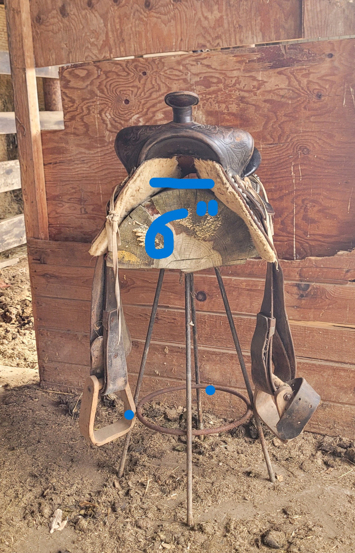 Western Saddle 4