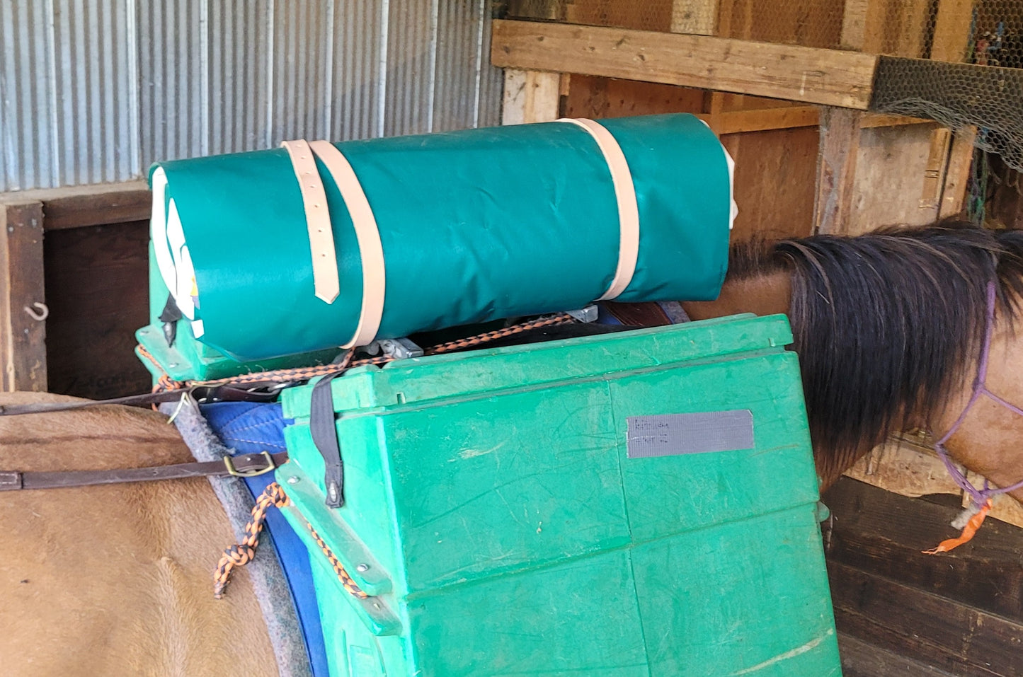 bedroll on pack saddle