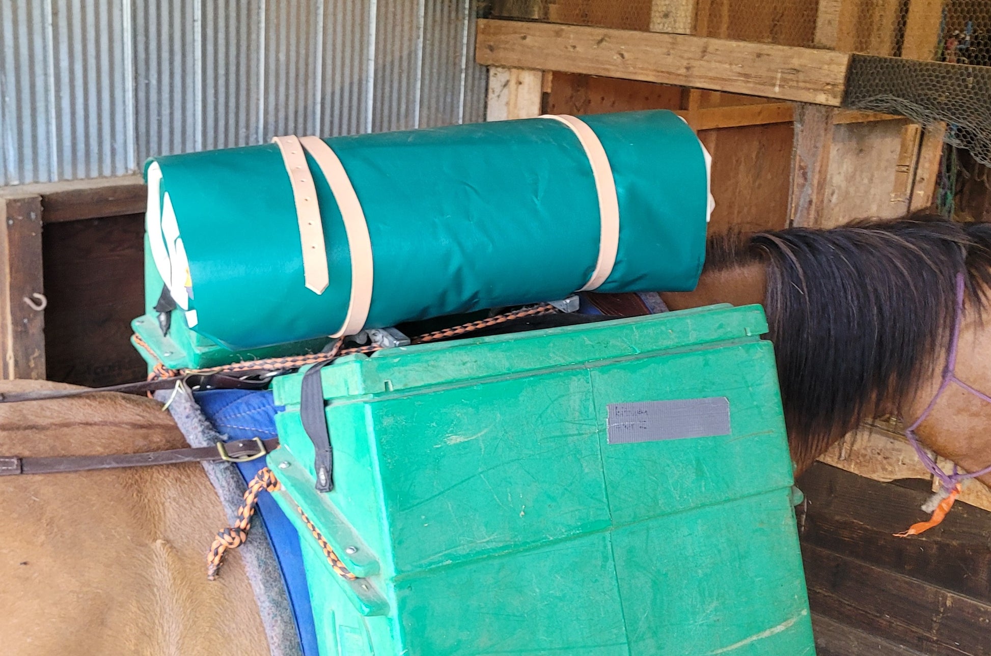 bedroll on pack saddle